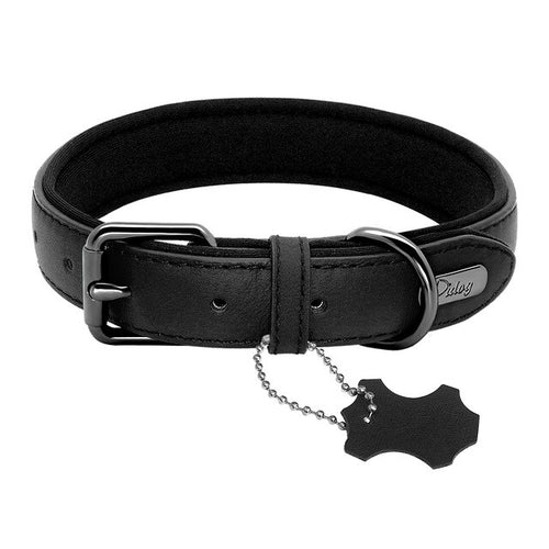 Didog Leather Dog Neoprene Padded Pet Collar Leash