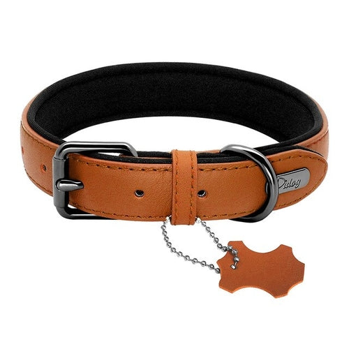 Didog Leather Dog Neoprene Padded Pet Collar Leash