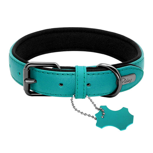 Didog Leather Dog Neoprene Padded Pet Collar Leash