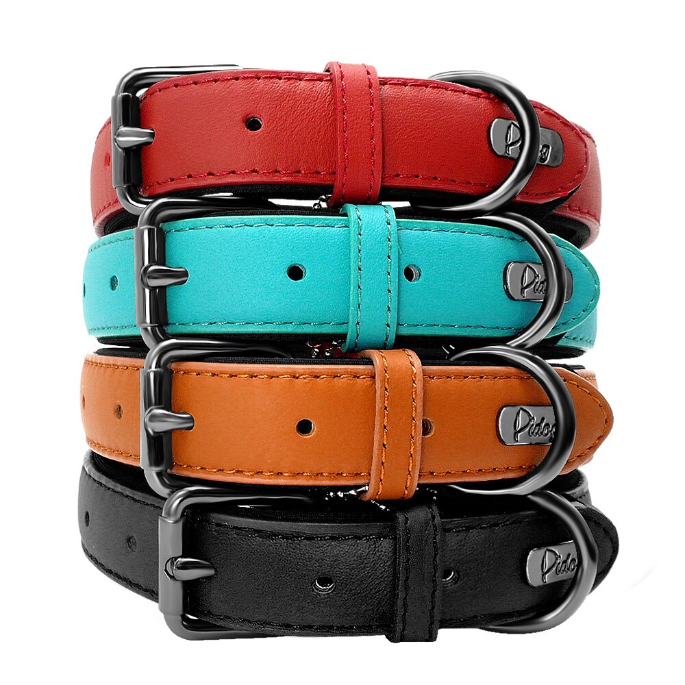 Didog Leather Dog Neoprene Padded Pet Collar Leash
