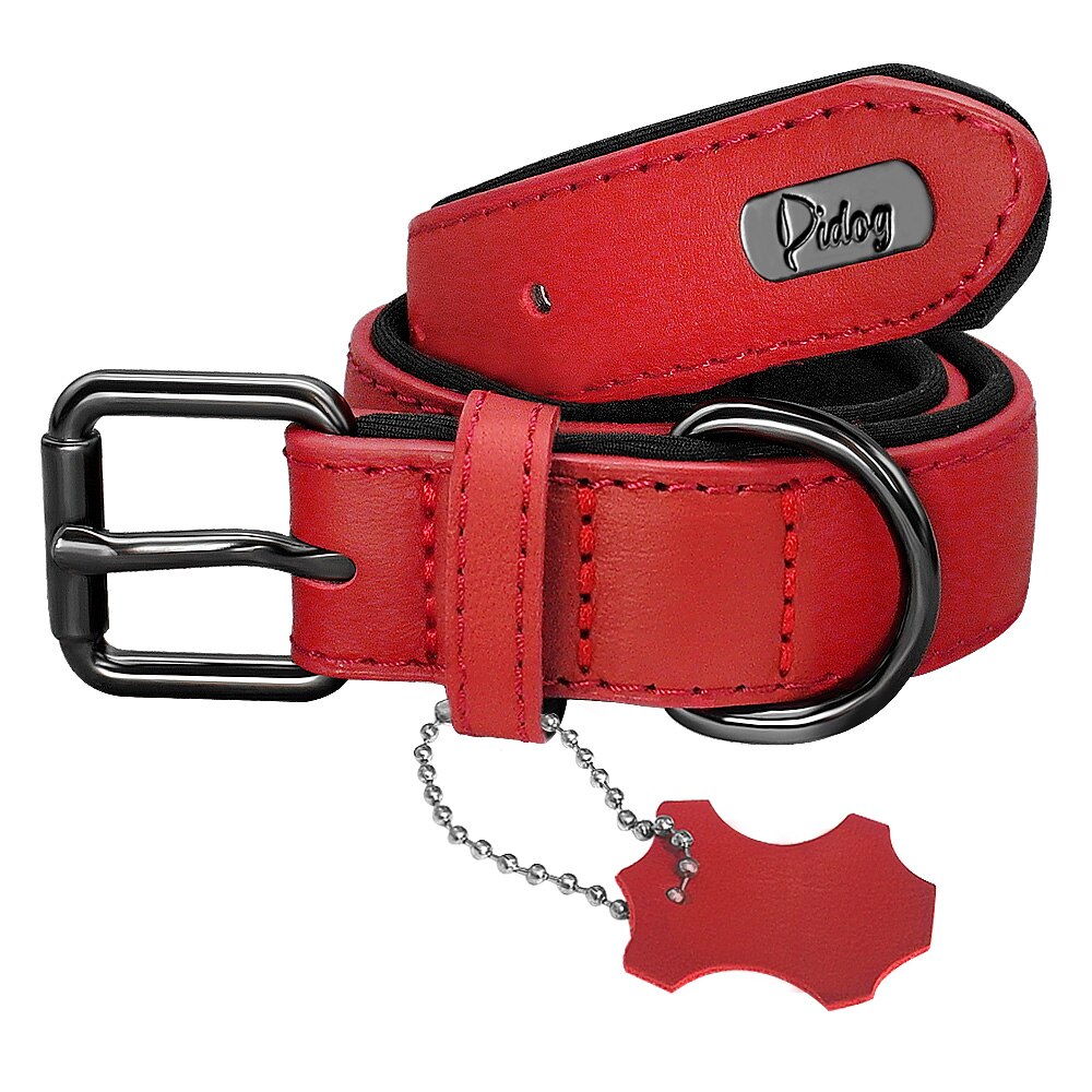 Didog Leather Dog Neoprene Padded Pet Collar Leash