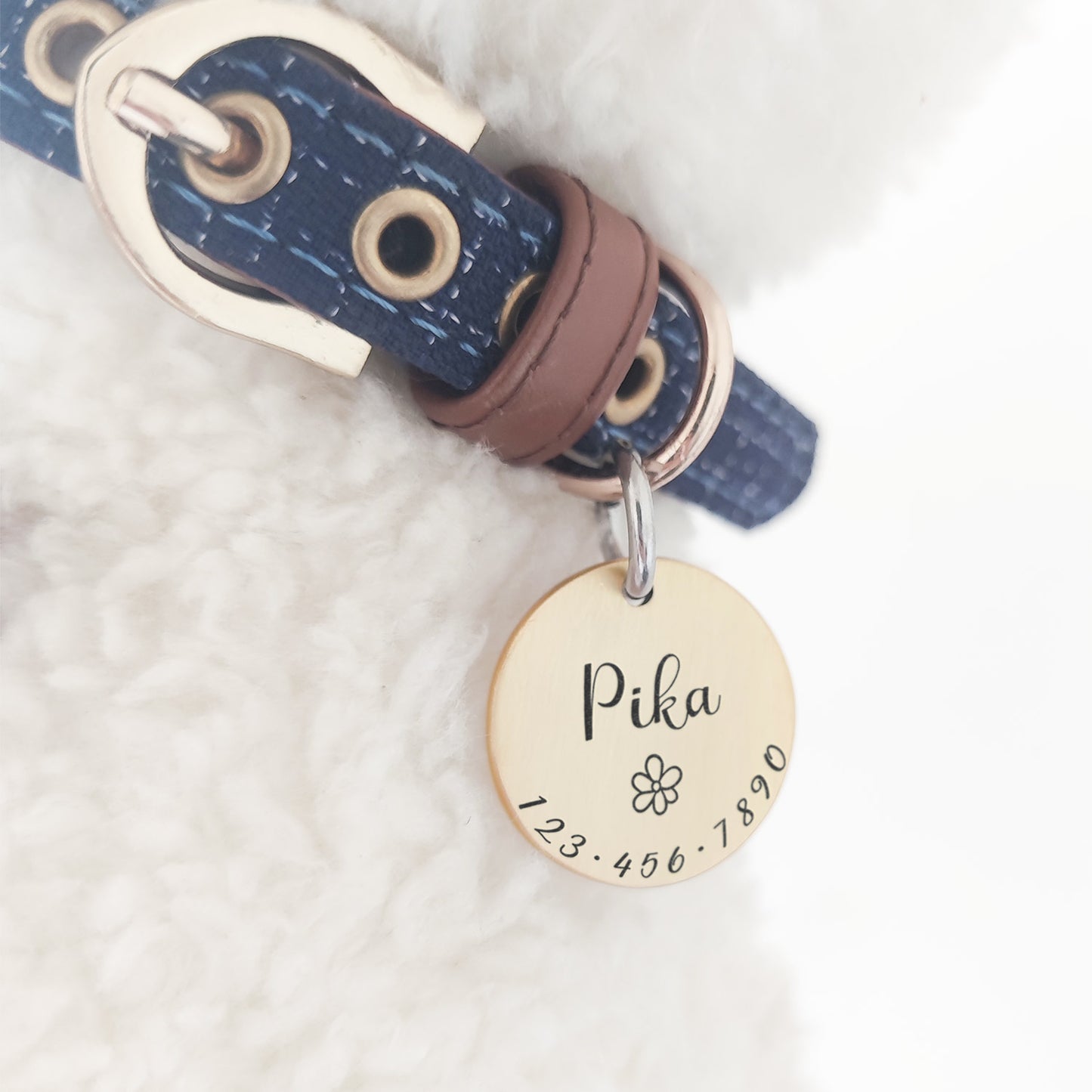 Personalized Pet Cat Dog Id Tag Collar Accessories Mw001 Custom